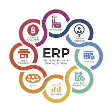 ERP Systems (Enterprise Resource Planning)